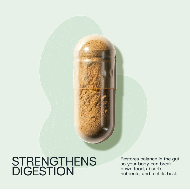 Daily Probiotic Refill Packs