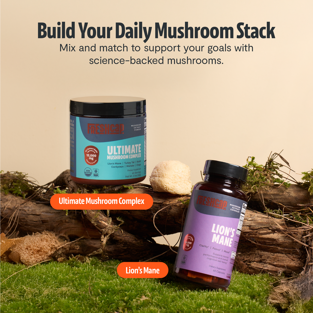 Lion's Mane Mushroom Extract Capsules