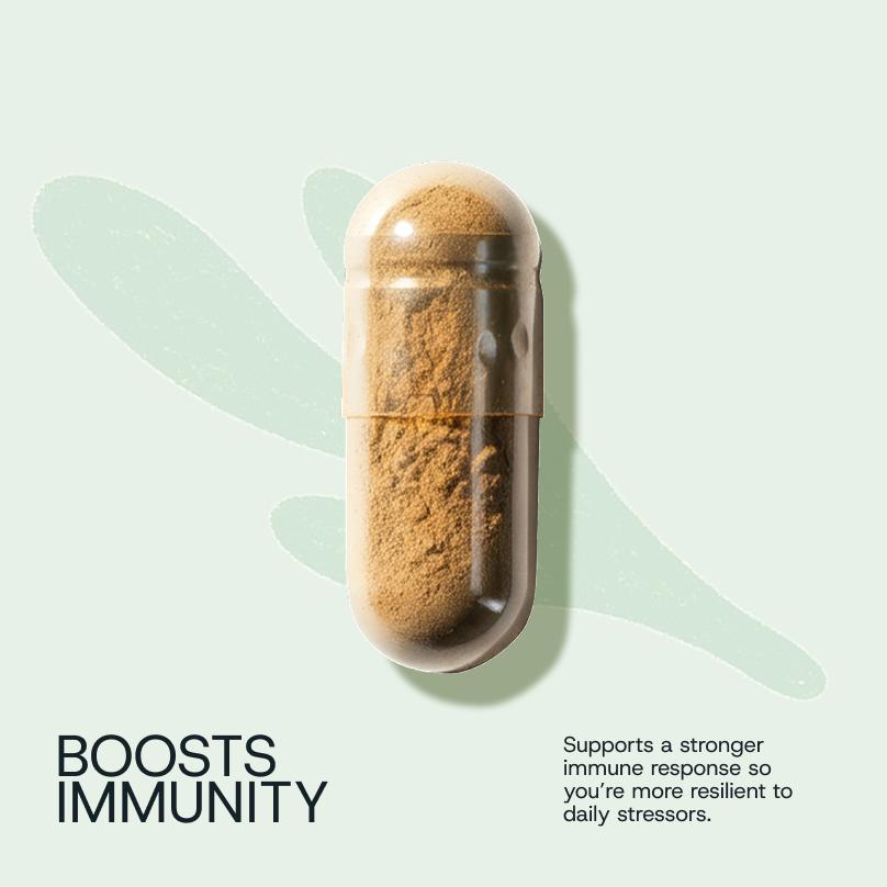 Daily Probiotic Refill Packs
