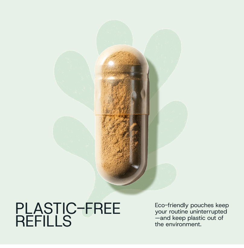 Daily Probiotic Refill Packs
